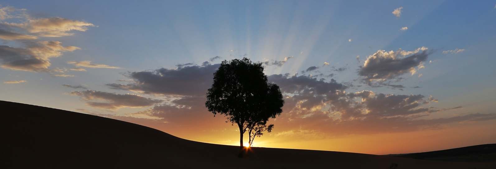 fotos profiel Hanneke Queens