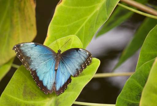 ashley rich OI udP59p98 unsplash 111809221153