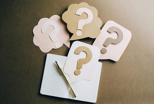 asking questions 111788592311