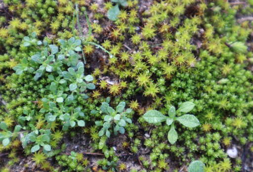 blog joeri 111757501171