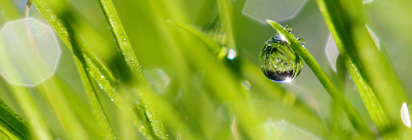 fotos profiel Hanneke Queens