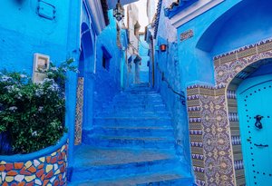 lindsey lamont 1117397 unsplash 111972177784