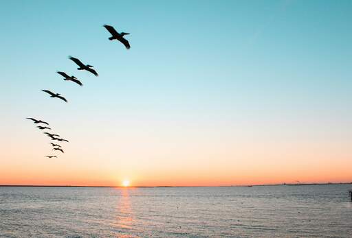 nila maria Twvvfgeh f8 unsplash 111765274656