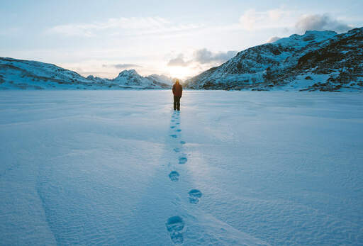 progressie 111763192295