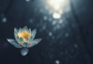 zoltan tasi 698712 unsplash 111971651435